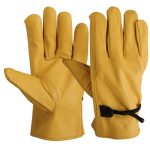Driver Gloves 1